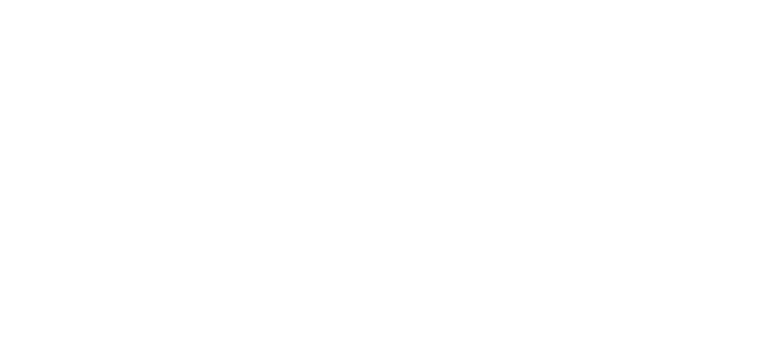 PSS Logo